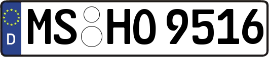 MS-HO9516