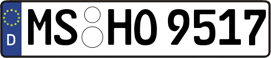 MS-HO9517