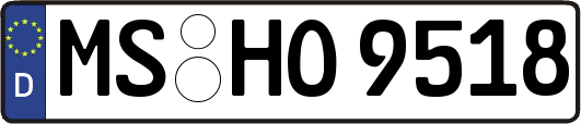 MS-HO9518