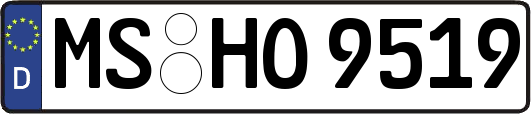 MS-HO9519