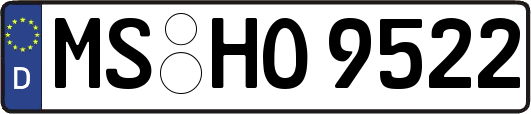 MS-HO9522