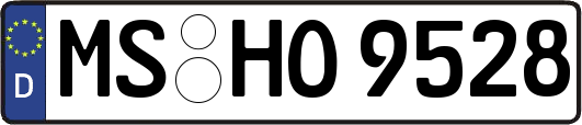 MS-HO9528