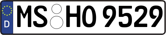 MS-HO9529