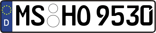 MS-HO9530
