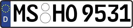 MS-HO9531