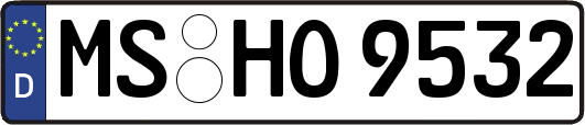 MS-HO9532