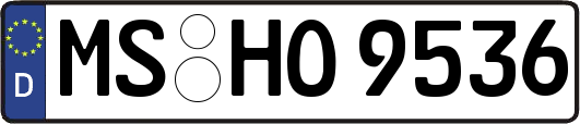 MS-HO9536