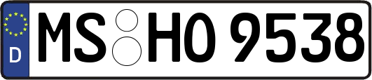 MS-HO9538