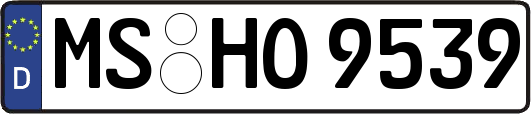 MS-HO9539