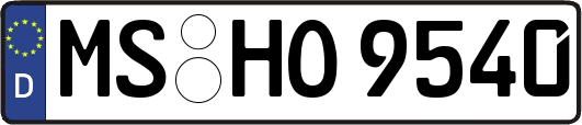 MS-HO9540