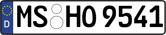 MS-HO9541