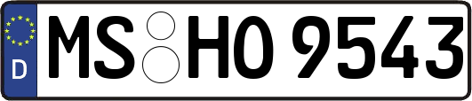MS-HO9543