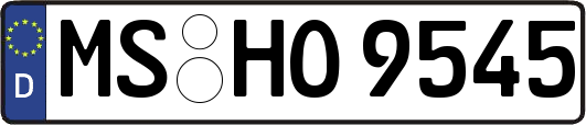 MS-HO9545