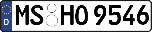 MS-HO9546