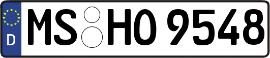 MS-HO9548