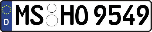 MS-HO9549