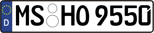 MS-HO9550