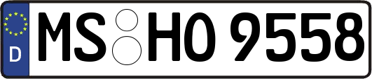 MS-HO9558
