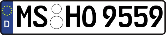 MS-HO9559
