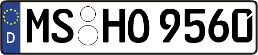MS-HO9560