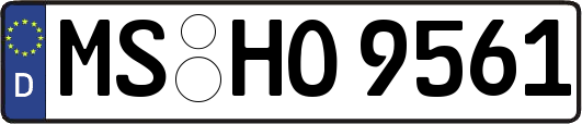MS-HO9561