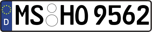 MS-HO9562