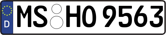 MS-HO9563