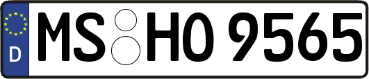 MS-HO9565