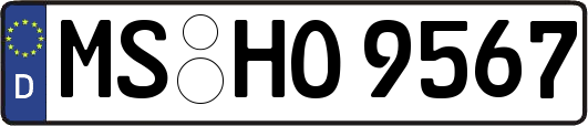 MS-HO9567