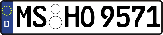 MS-HO9571