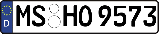 MS-HO9573