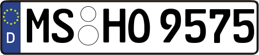 MS-HO9575