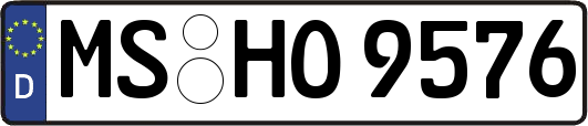 MS-HO9576