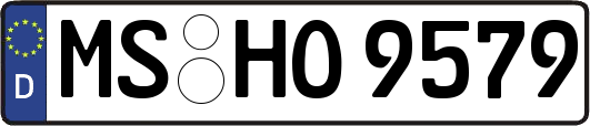 MS-HO9579