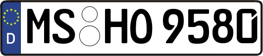 MS-HO9580