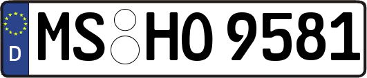 MS-HO9581