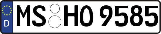 MS-HO9585