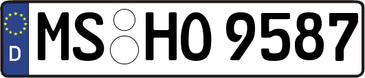 MS-HO9587