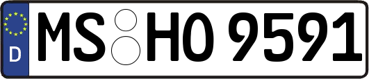 MS-HO9591