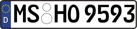 MS-HO9593