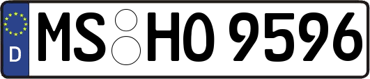 MS-HO9596