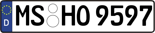 MS-HO9597