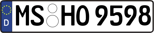 MS-HO9598