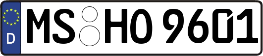 MS-HO9601