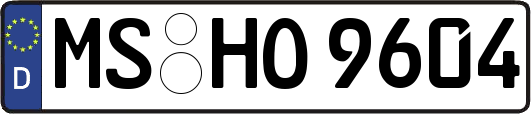 MS-HO9604