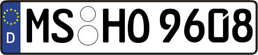 MS-HO9608