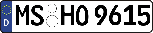 MS-HO9615
