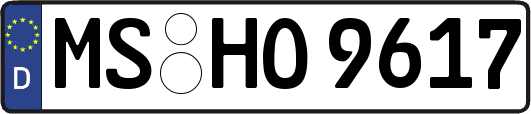 MS-HO9617