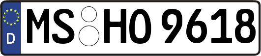 MS-HO9618