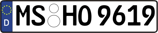 MS-HO9619